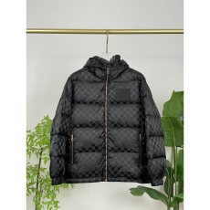 Louis Vuitton Down Jackets